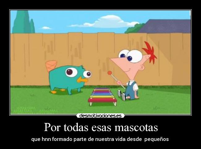 Por todas esas mascotas - que hnn formado parte de nuestra vida desde pequeños