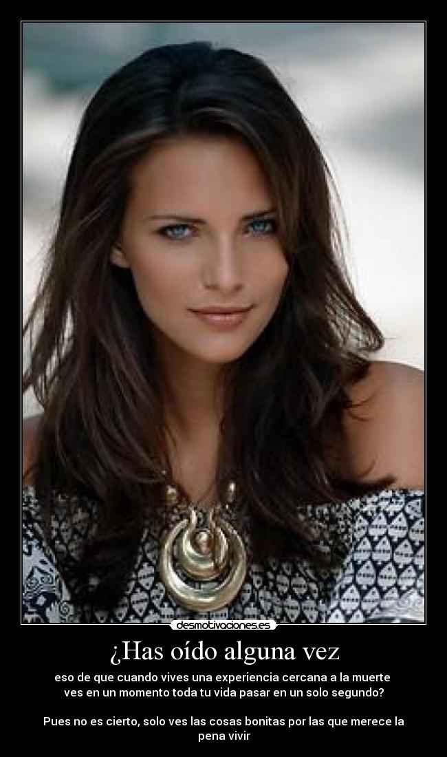 carteles teoria vida desmotivaciones