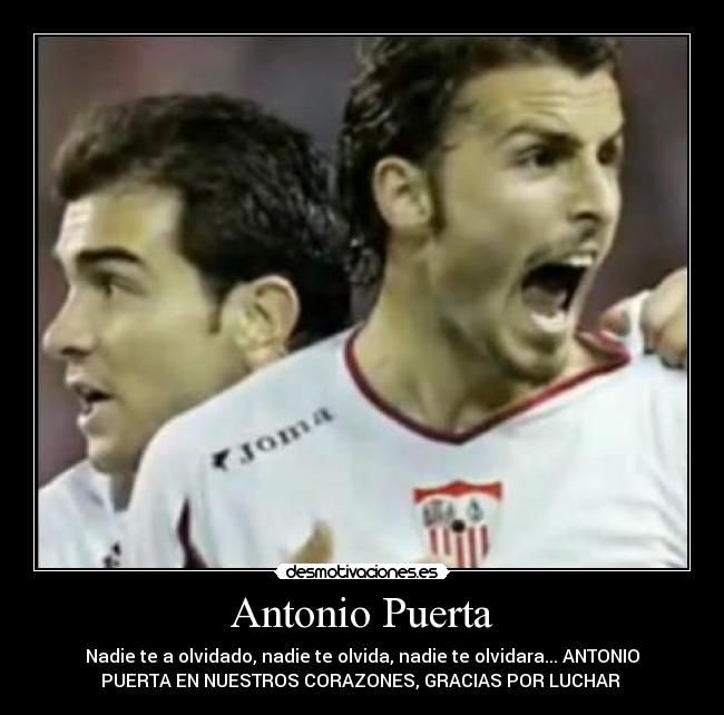 Antonio Puerta - Nadie te a olvidado, nadie te olvida, nadie te olvidara... ANTONIO
PUERTA EN NUESTROS CORAZONES, GRACIAS POR LUCHAR 
