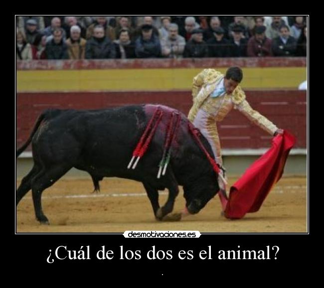 ¿Cuál de los dos es el animal? - .