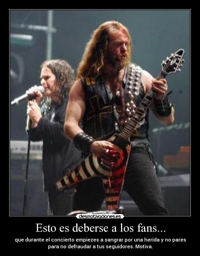 carteles zakk wylde desmotivaciones