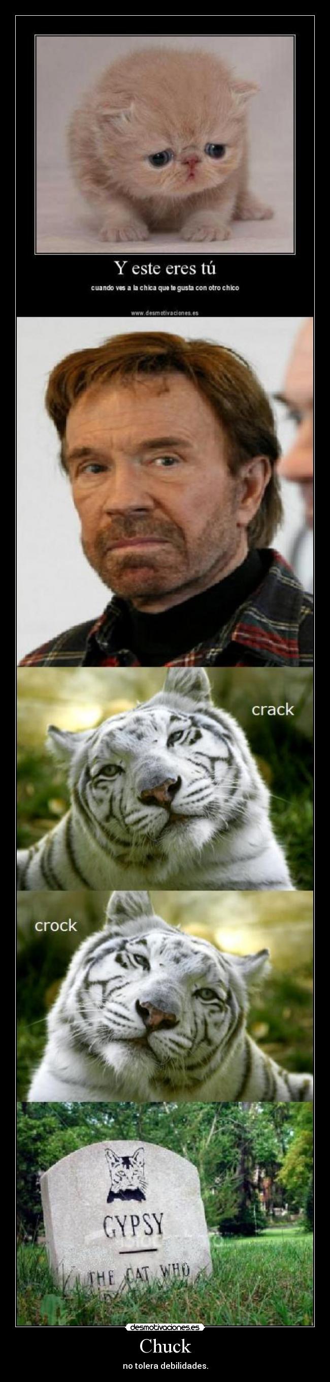 Chuck - no tolera debilidades.