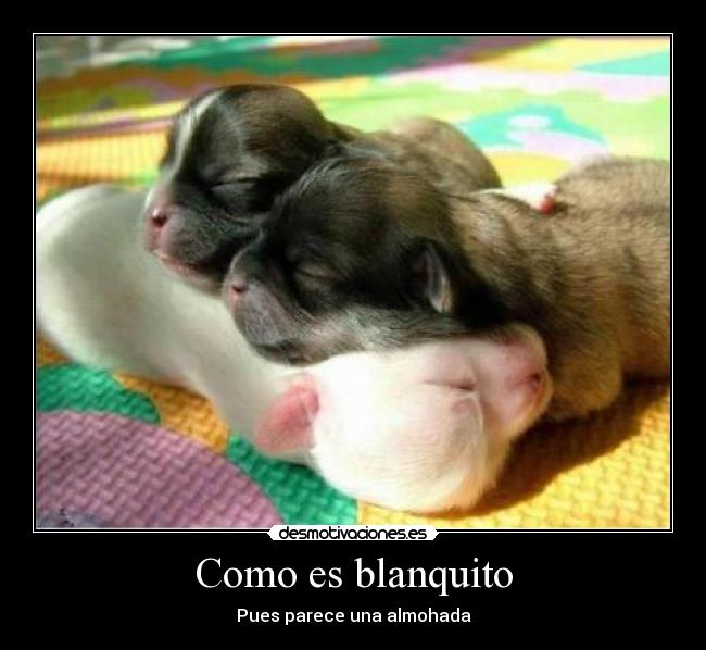 Como es blanquito - 