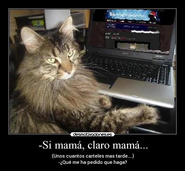 -Si mamá, claro mamá... -