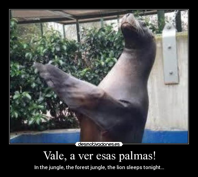 Vale, a ver esas palmas! -
