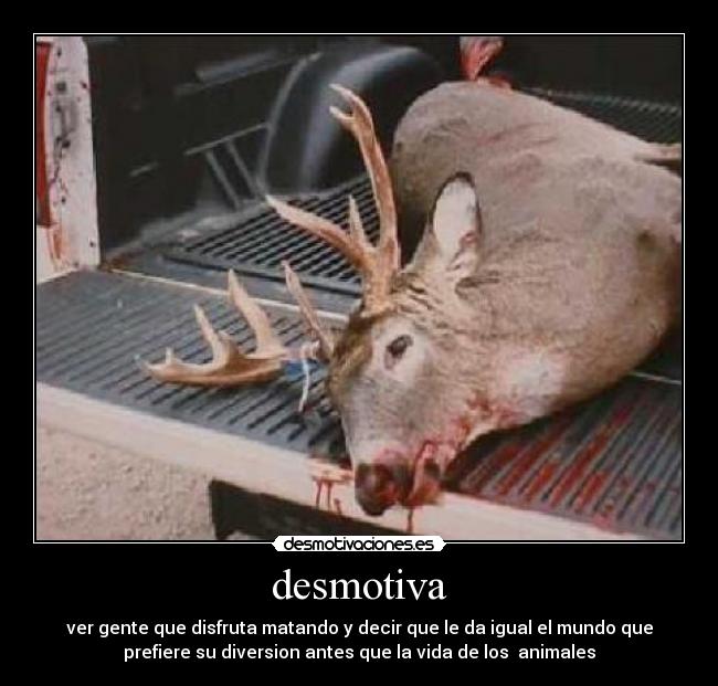 carteles lasrosas desmotivaciones