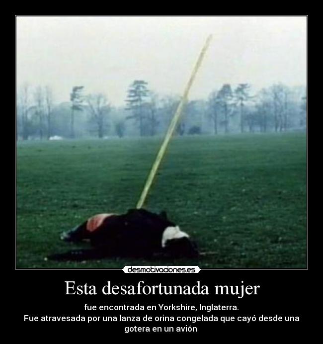 Esta desafortunada mujer - fue encontrada en Yorkshire, Inglaterra.
Fue atravesada por una lanza de orina congelada que cayó desde una
gotera en un avión 