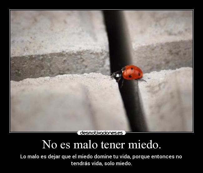 No es malo tener miedo. - 