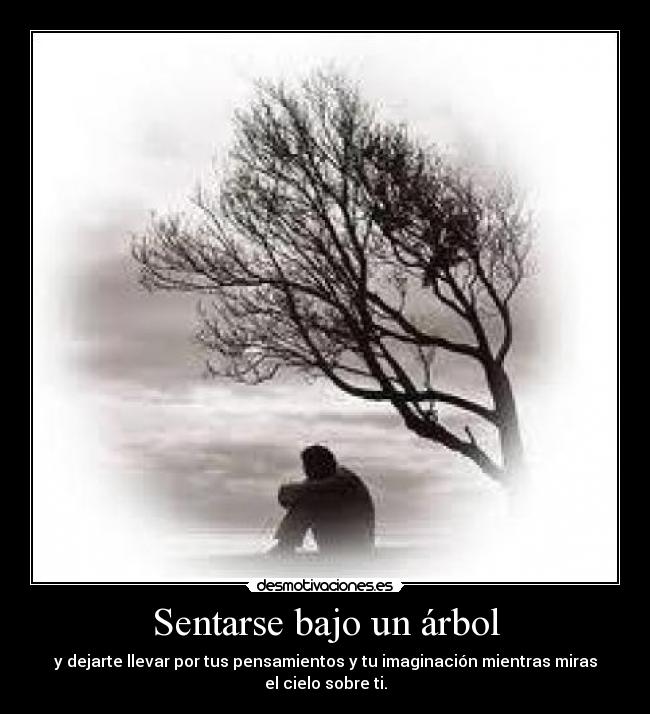 Sentarse bajo un árbol - y dejarte llevar por tus pensamientos y tu imaginación mientras miras
el cielo sobre ti.