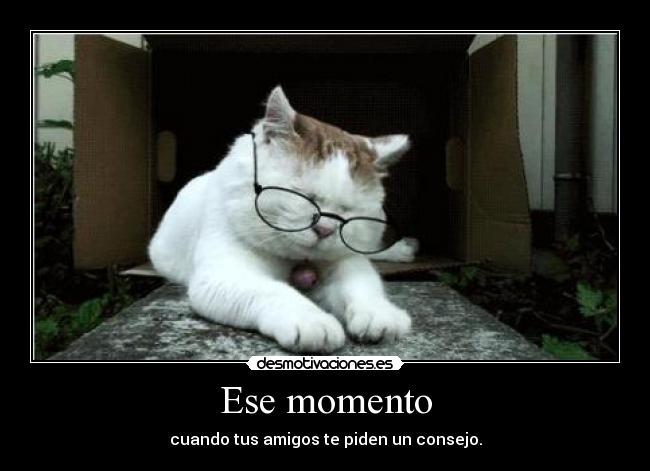 Ese momento - cuando tus amigos te piden un consejo.