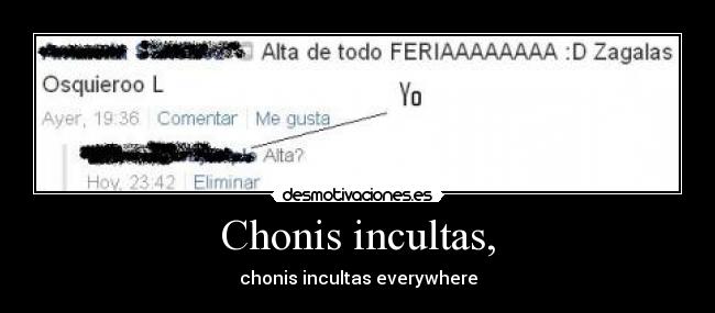 Chonis incultas, - chonis incultas everywhere