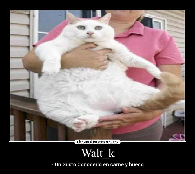 Walt_k - 