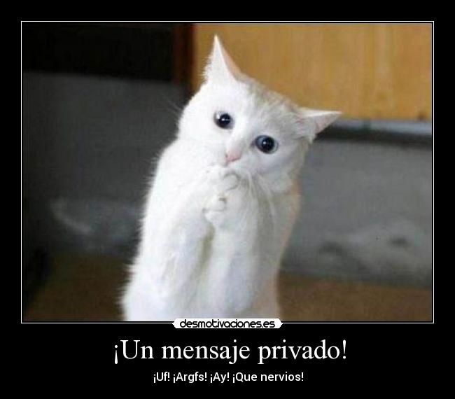 ¡Un mensaje privado! - 