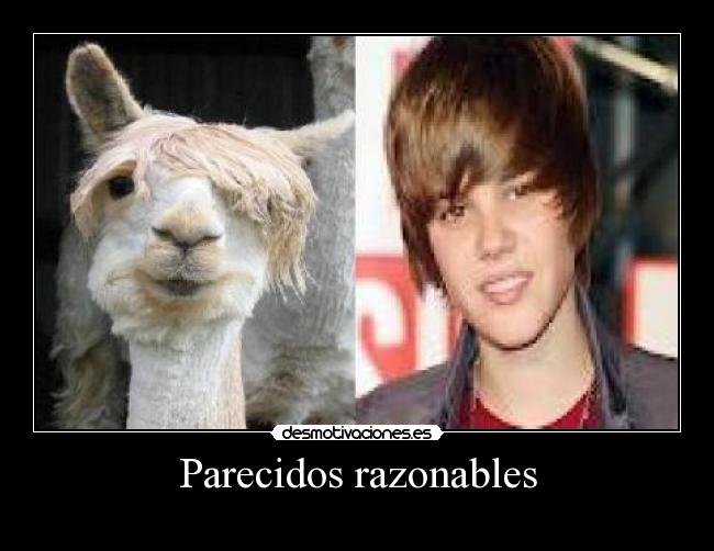 carteles  desmotivaciones