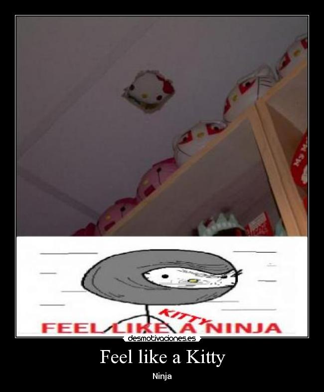 Feel like a Kitty - Ninja