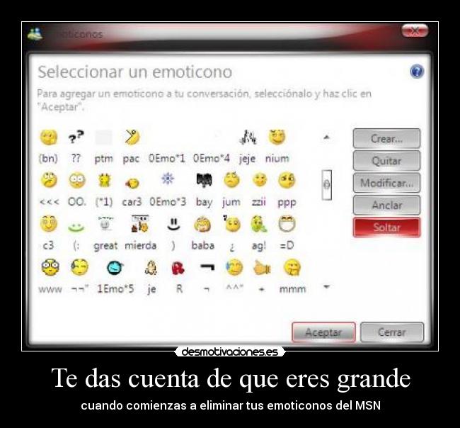 Te das cuenta de que eres grande - cuando comienzas a eliminar tus emoticonos del MSN