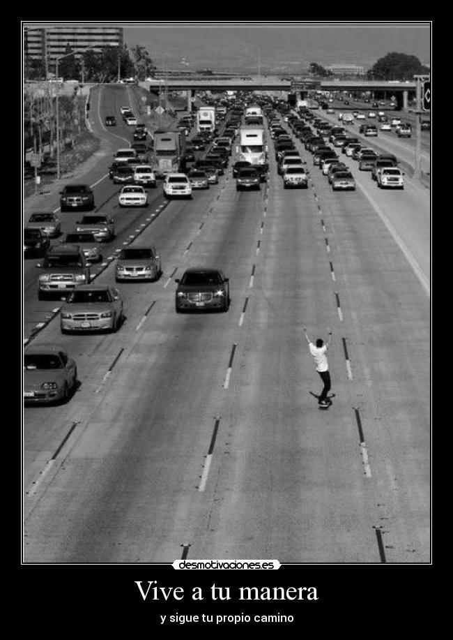 carteles hipsalami xola xolitaaaaaaaaaaaa ijaoalan desmotivaciones