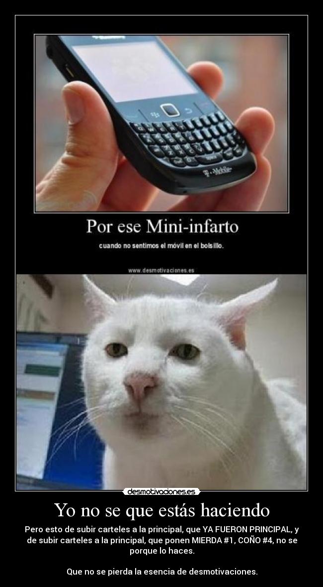 Yo no se que estás haciendo - Pero esto de subir carteles a la principal, que YA FUERON PRINCIPAL, y
de subir carteles a la principal, que ponen MIERDA #1, COÑO #4, no se
porque lo haces.

Que no se pierda la esencia de desmotivaciones.