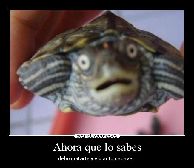 Ahora que lo sabes -