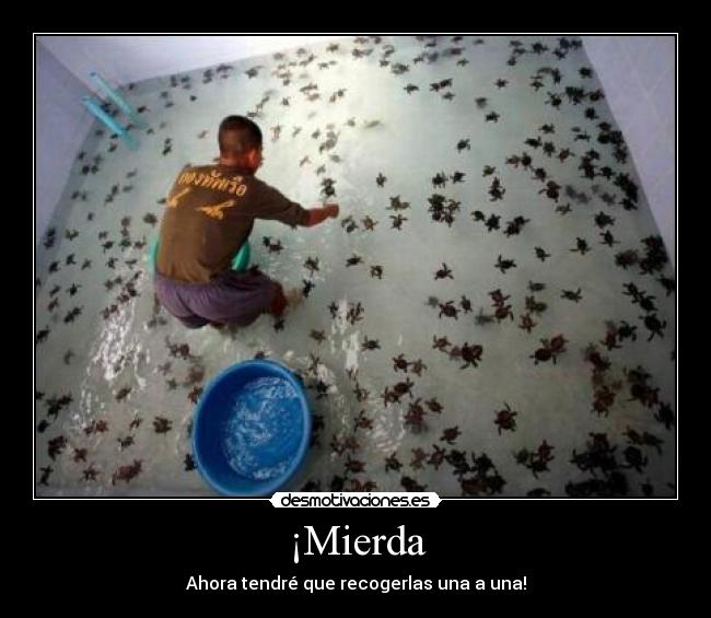 ¡Mierda -