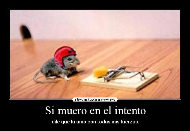 Si muero en el intento - 