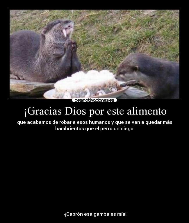 ¡Gracias Dios por este alimento -