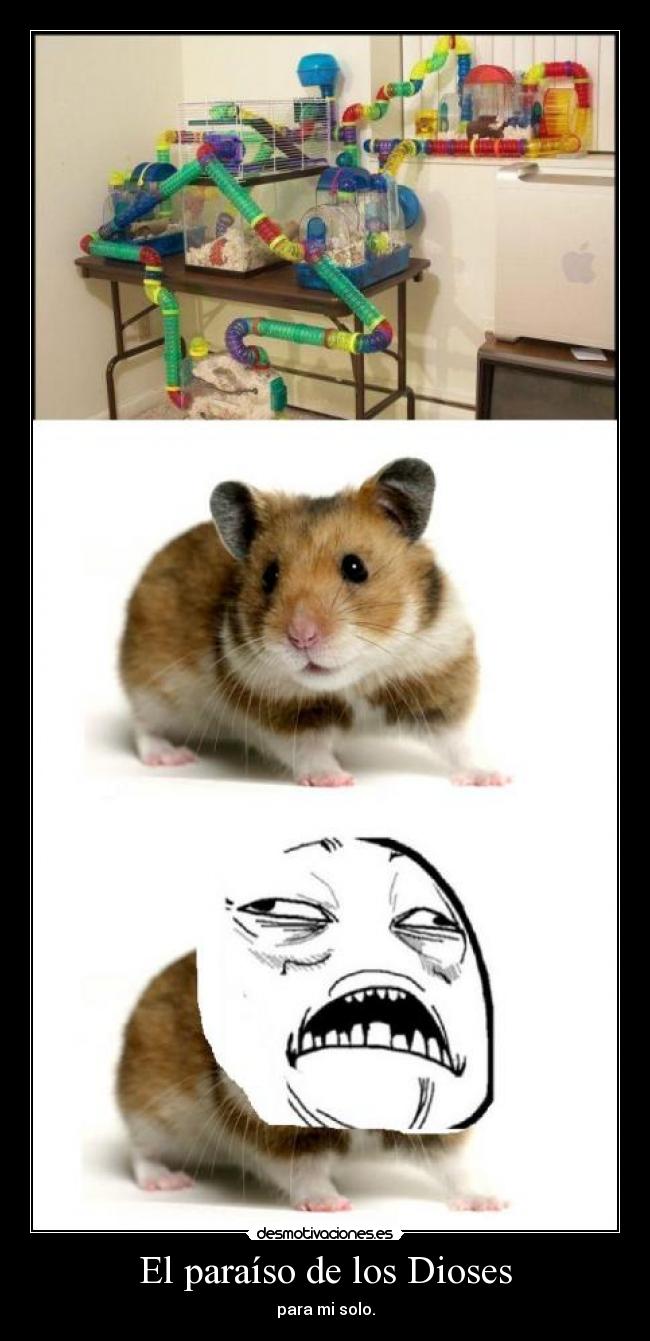 El paraíso de los Dioses - para mi solo.