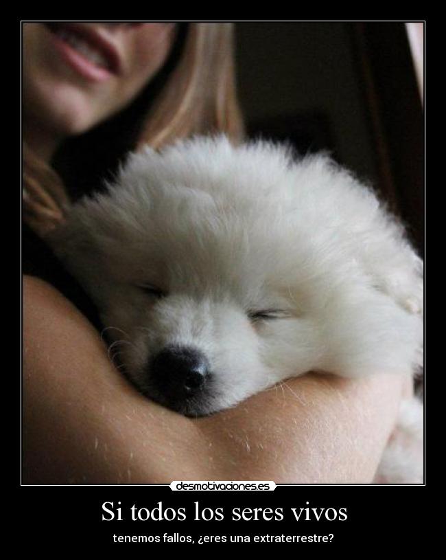 Si todos los seres vivos - 