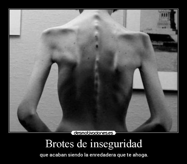 Brotes de inseguridad - que acaban siendo la enredadera que te ahoga.