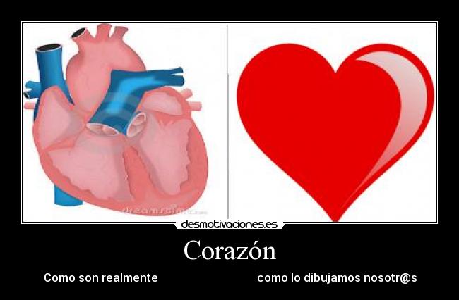 Corazón - 