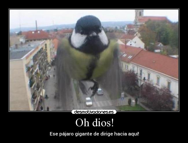 Oh dios! -