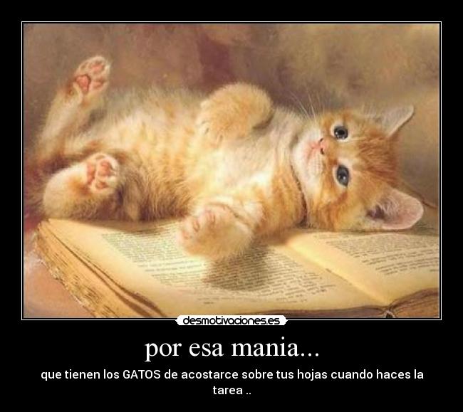 por esa mania... - que tienen los GATOS de acostarce sobre tus hojas cuando haces la tarea ..