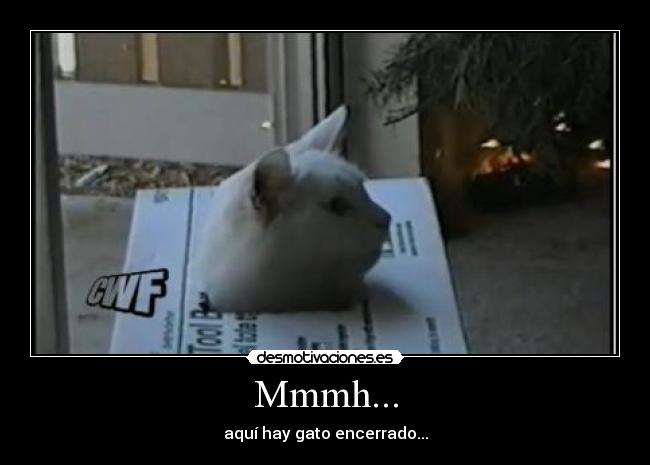 Mmmh... - aquí hay gato encerrado...