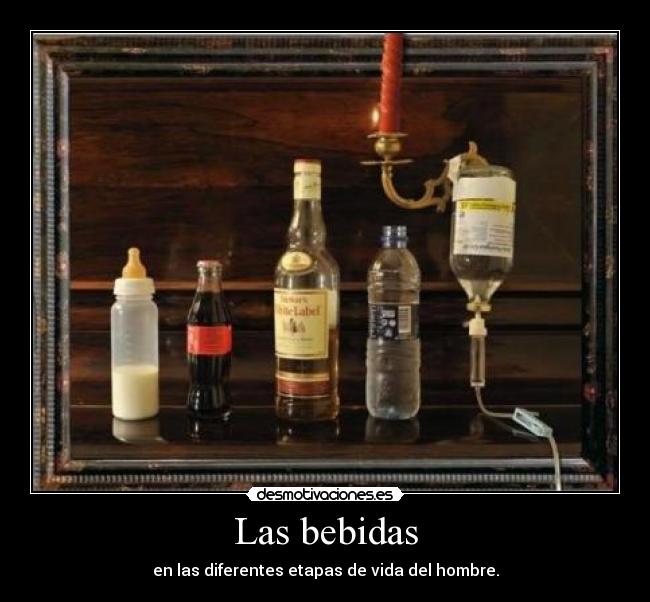 Las bebidas - en las diferentes etapas de vida del hombre.