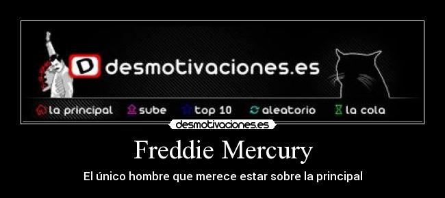Freddie Mercury - El único hombre que merece estar sobre la principal