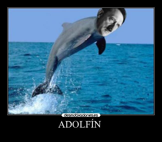 ADOLFÍN  - 