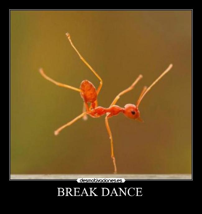 BREAK DANCE -