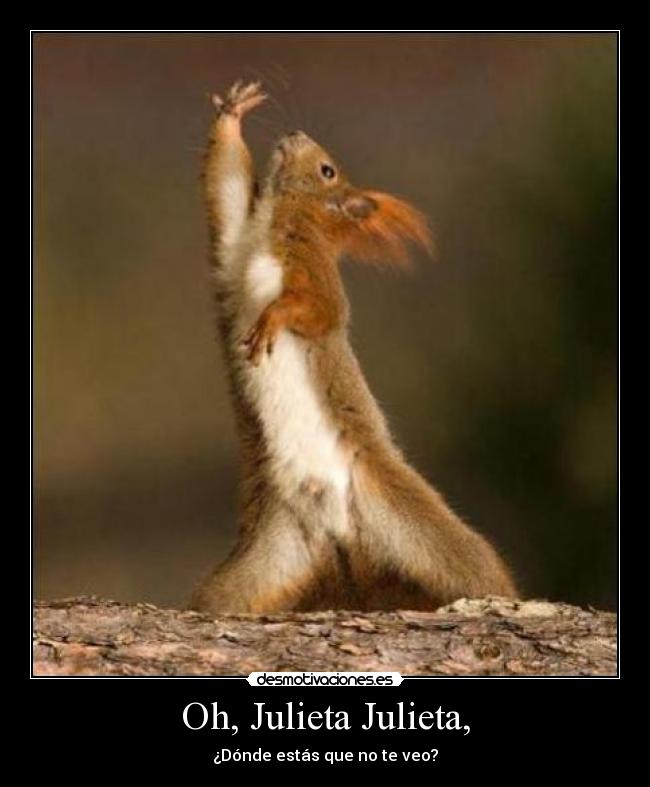 Oh, Julieta Julieta, -