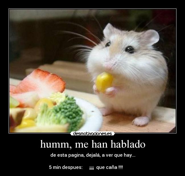 humm, me han hablado -