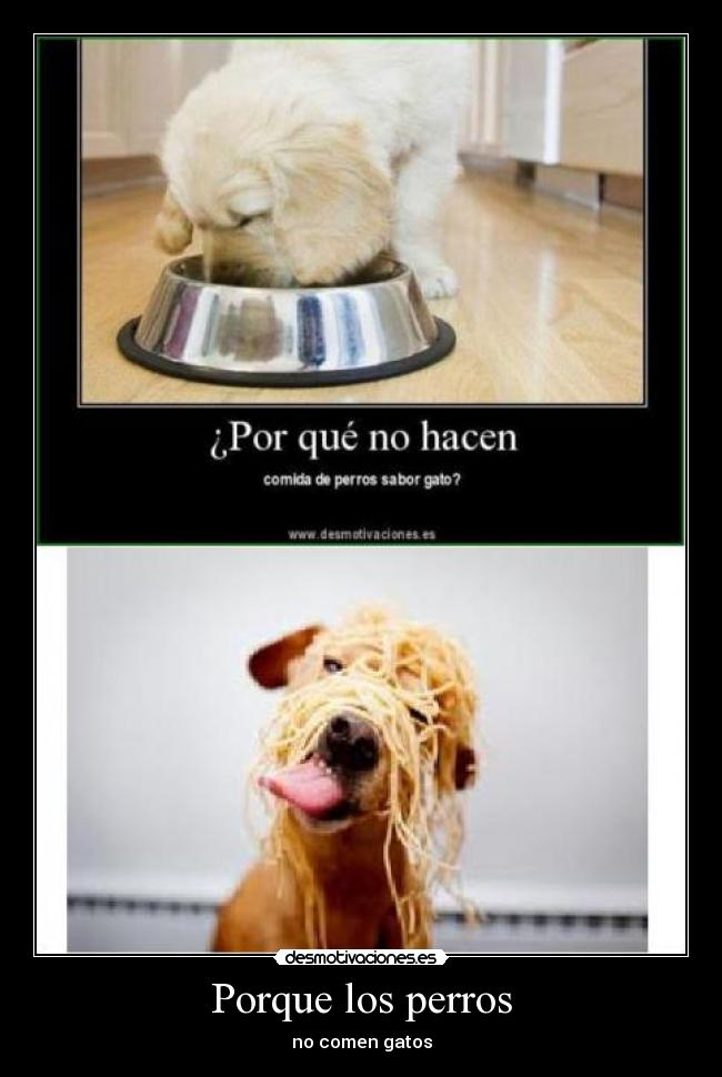 Porque los perros - no comen gatos