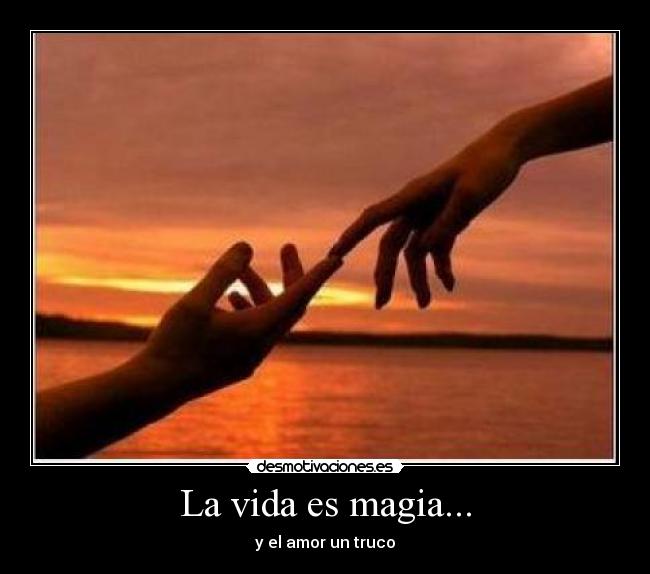 La vida es magia... -