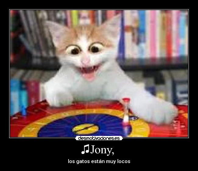 ♫Jony, -