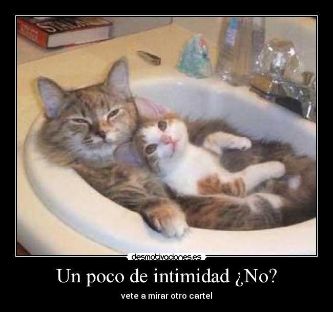 Un poco de intimidad ¿No? - vete a mirar otro cartel