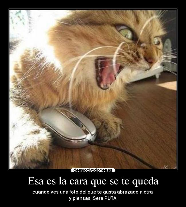 Esa es la cara que se te queda - 