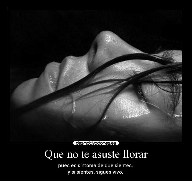 carteles llorar sentimientos llorar desmotivaciones