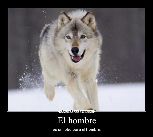 El hombre - 