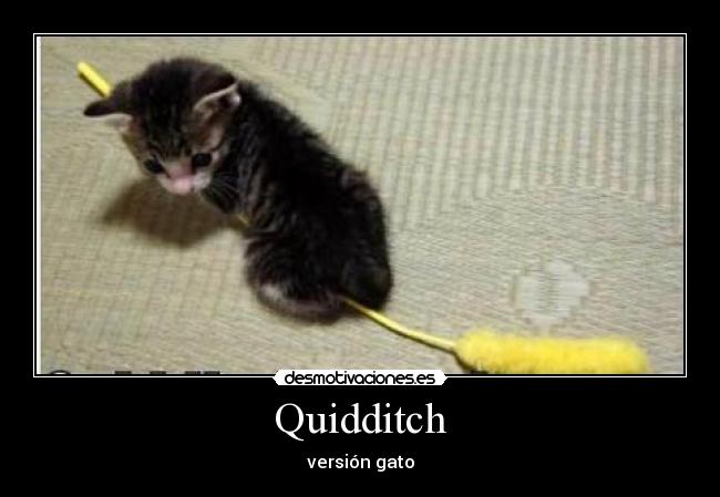 Quidditch -