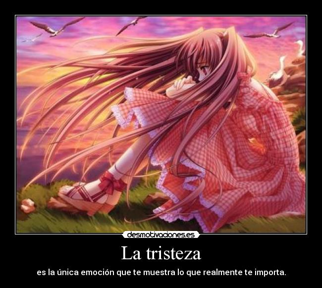 La tristeza - es la única emoción que te muestra lo que realmente te importa.