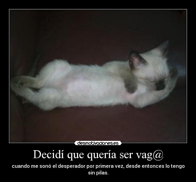 Decidí que quería ser vag@ - cuando me sonó el desperador por primera vez, desde entonces lo tengo sin pilas.