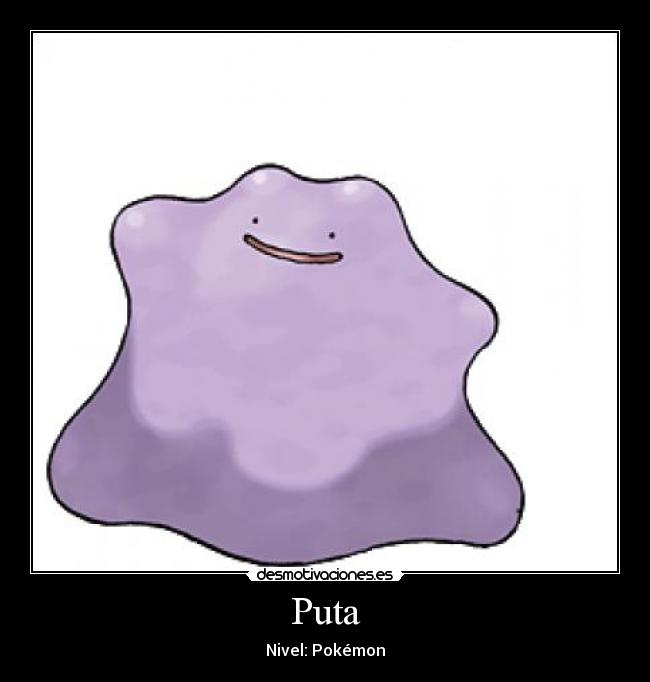 Puta - Nivel: Pokémon